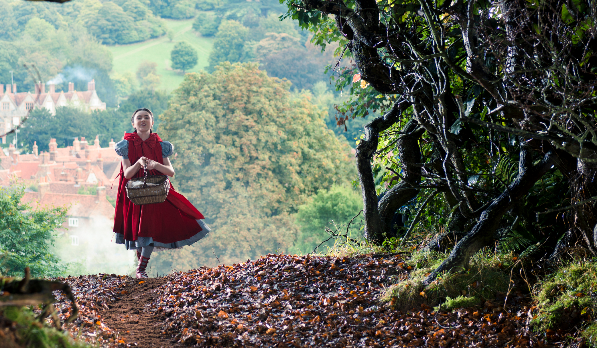 Into the Woods
