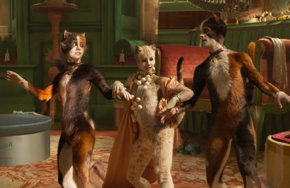 Cats